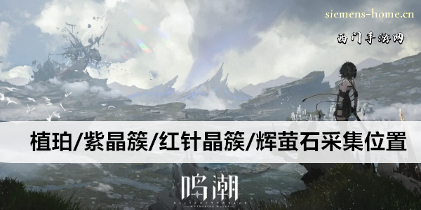 鸣潮植珀/紫晶簇/红针晶簇/辉萤石采集位置路线