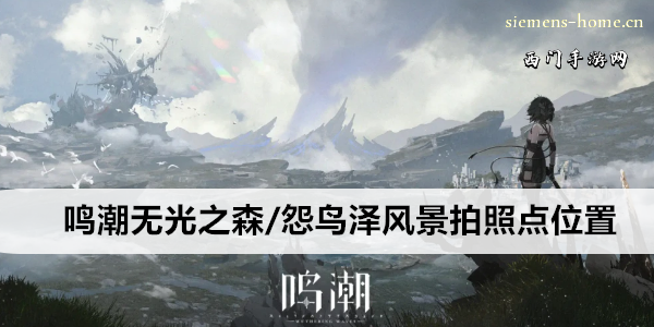 鸣潮无光之森/怨鸟泽风景拍照点位置