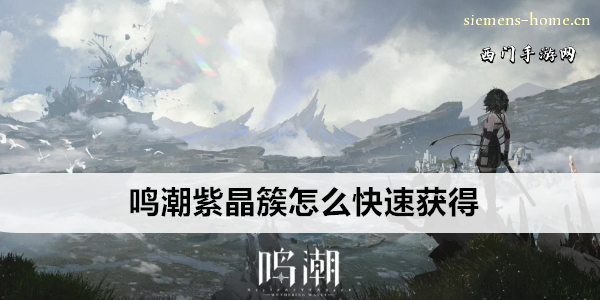 鸣潮紫晶簇怎么快速获得