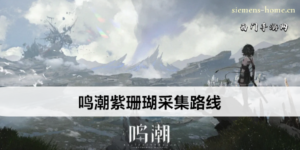 鸣潮紫珊瑚采集路线