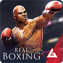 RealBoxing
