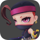 忍者斗恶龙正版