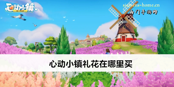 心动小镇礼花在哪里买
