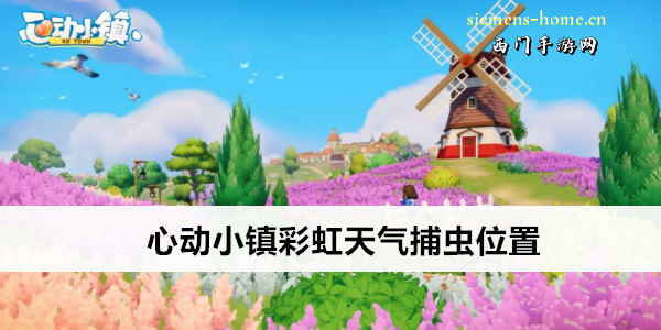 心动小镇彩虹天气捕虫位置