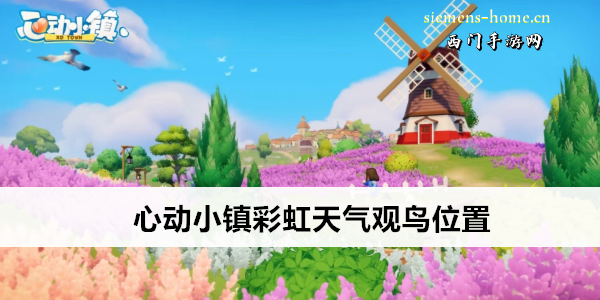 心动小镇彩虹天气观鸟位置