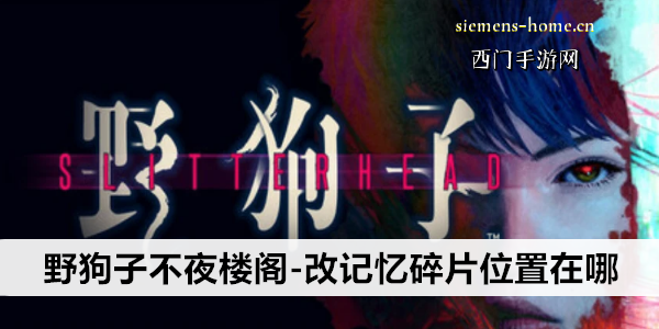 野狗子不夜楼阁-改记忆碎片位置在哪