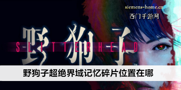 野狗子超绝界域记忆碎片位置在哪