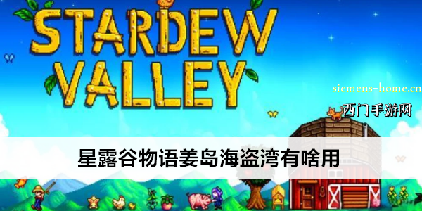 星露谷物语姜岛海盗湾有啥用