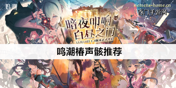 鸣潮椿声骸推荐