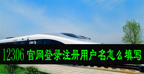 12306注册用户名怎么填写