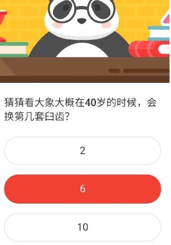 猜猜看大象大概在40岁的时候，会换第几套臼齿？