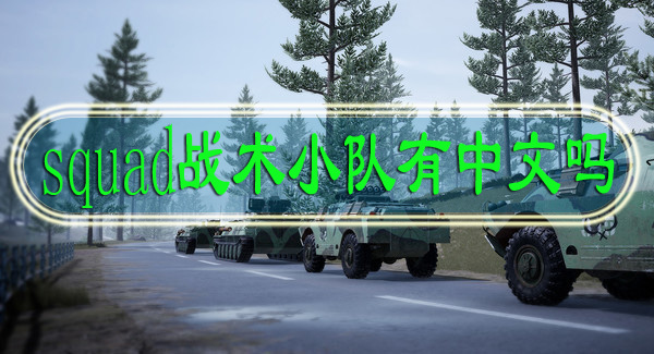 squad战术小队有中文吗