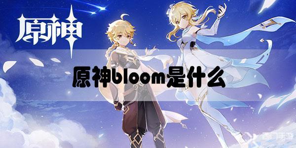 原神bloom是什么