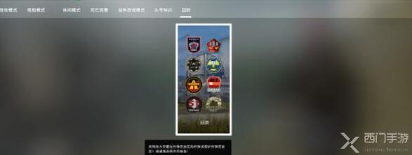 csgo狂牙大行动多少钱