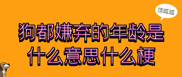 狗都嫌弃的年龄是什么意思什么梗