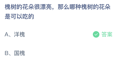 槐树的花朵很漂亮，那么哪种槐树的花朵是可以吃的