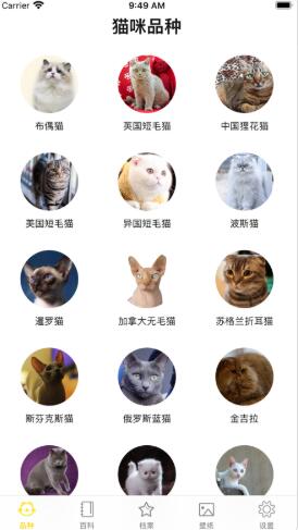 猫猫生活圈截图