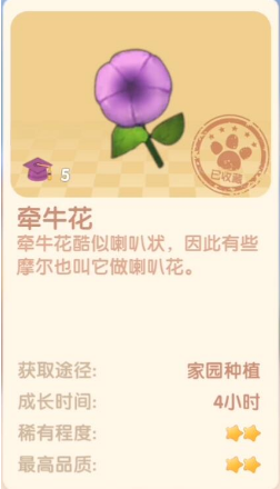 摩尔庄园手游牵牛花有什么用