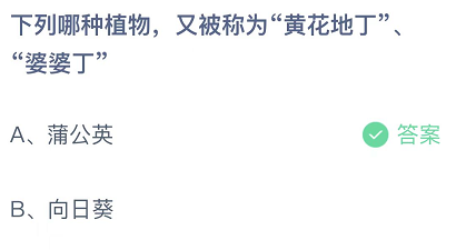 下列哪种植物，又被称为黄花地丁、婆婆丁