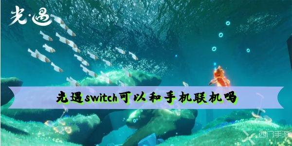 光遇switch可以和手机联机吗