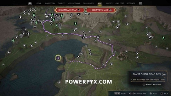 霍格沃茨之遗巨型紫蟾蜍在哪抓