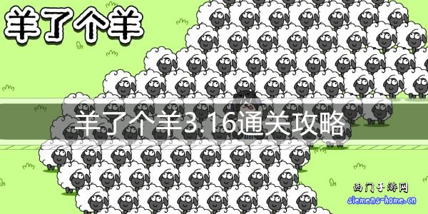 羊了个羊3.16通关攻略