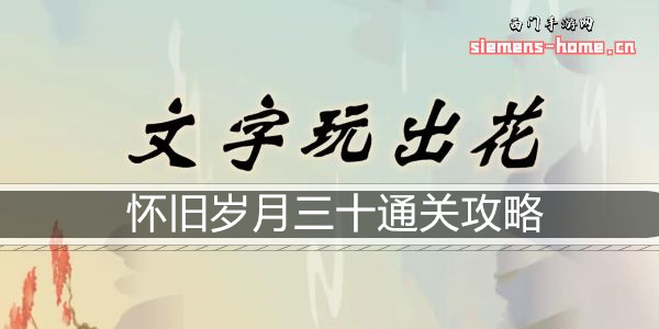 文字玩出花怀旧岁月三十通关攻略