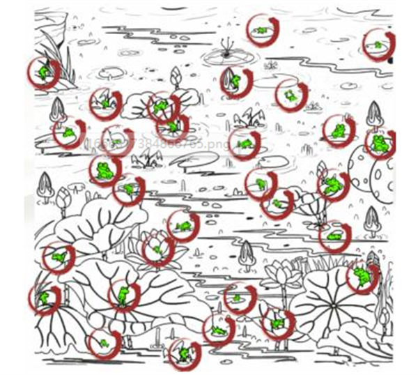 找青蛙在哪里图片答案图片