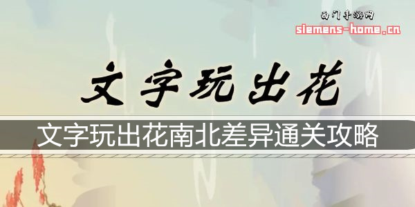 文字玩出花南北差异通关攻略