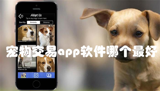 宠物交易app软件哪个最好