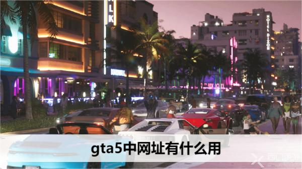 gta5中网址有什么用