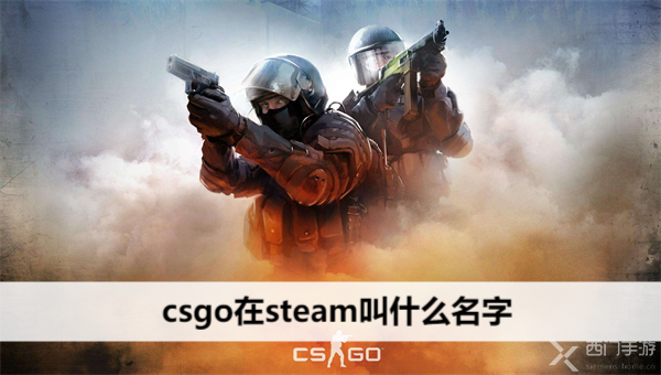 csgo在steam叫什么名字