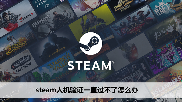 steam人机验证一直过不了怎么办