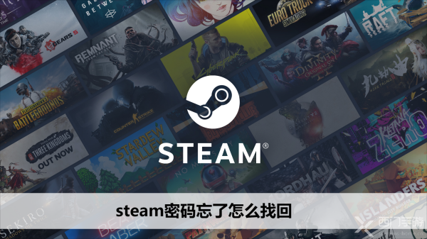 steam密码忘了怎么找回