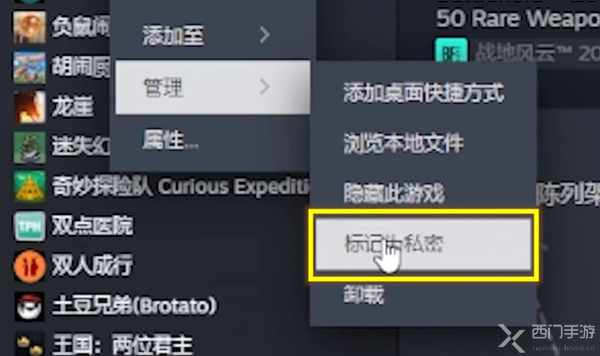 steam私密游戏怎么设置