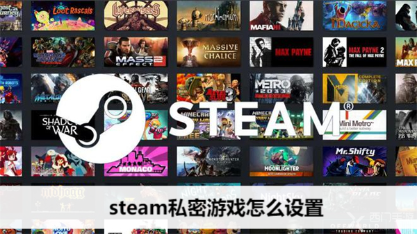 steam私密游戏怎么设置