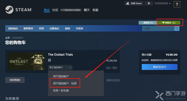 steam私密游戏怎么设置