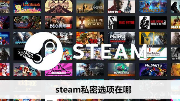 steam私密选项在哪