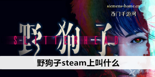 野狗子steam上叫什么