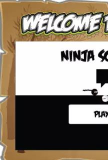 Ninja School