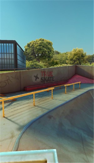 True Skate手机版