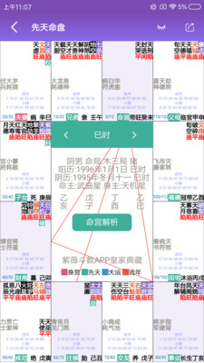 紫微斗数app