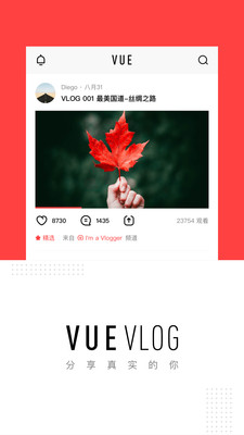 vue vlog专业版