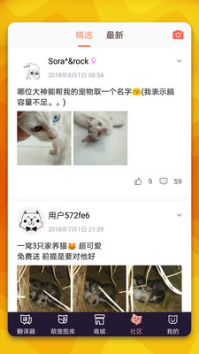 猫语翻译官