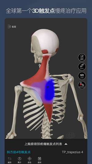 维萨里3D解剖