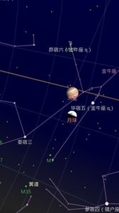 谷歌星空app中文版截图