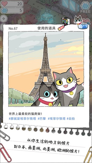 猫友圈猫咪的旅行截图