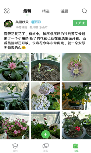 菠菜截图