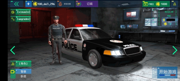 Police Sim