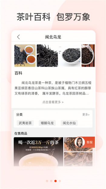 茶急送截图